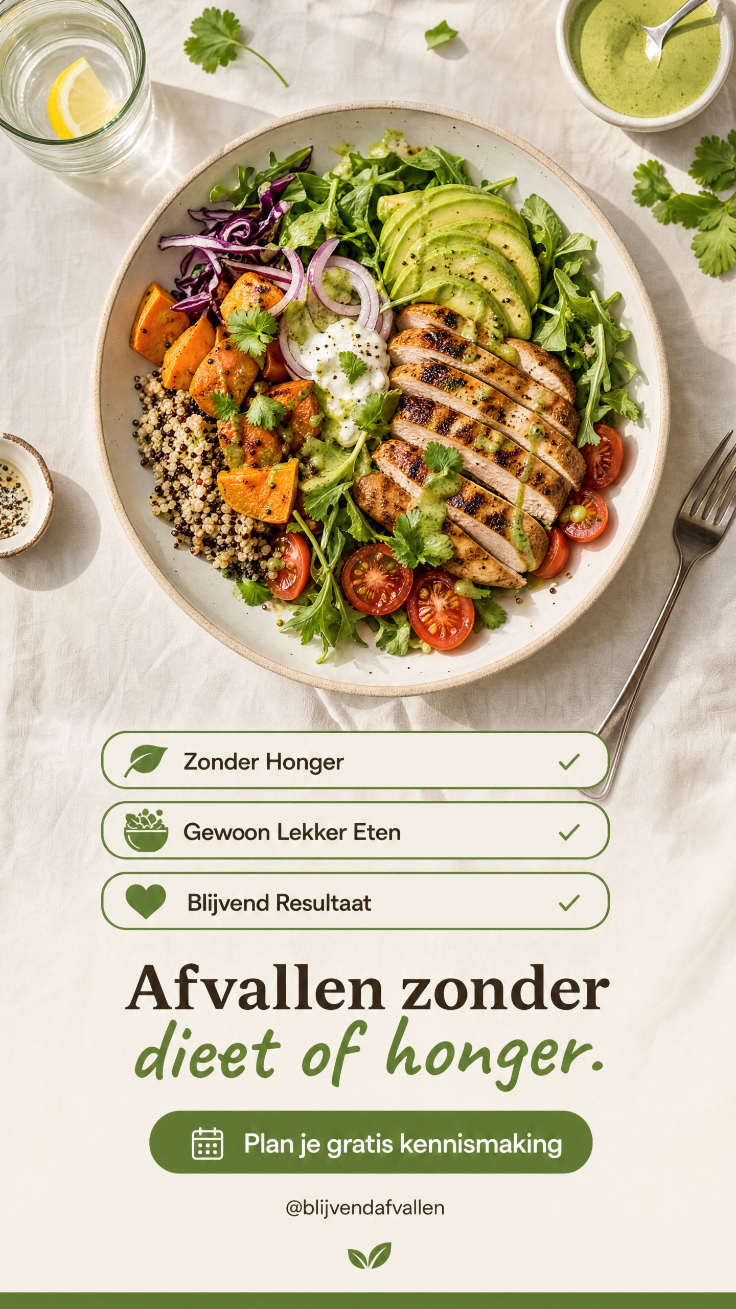 Blijvend Afvallen gezonde maaltijd advertentie