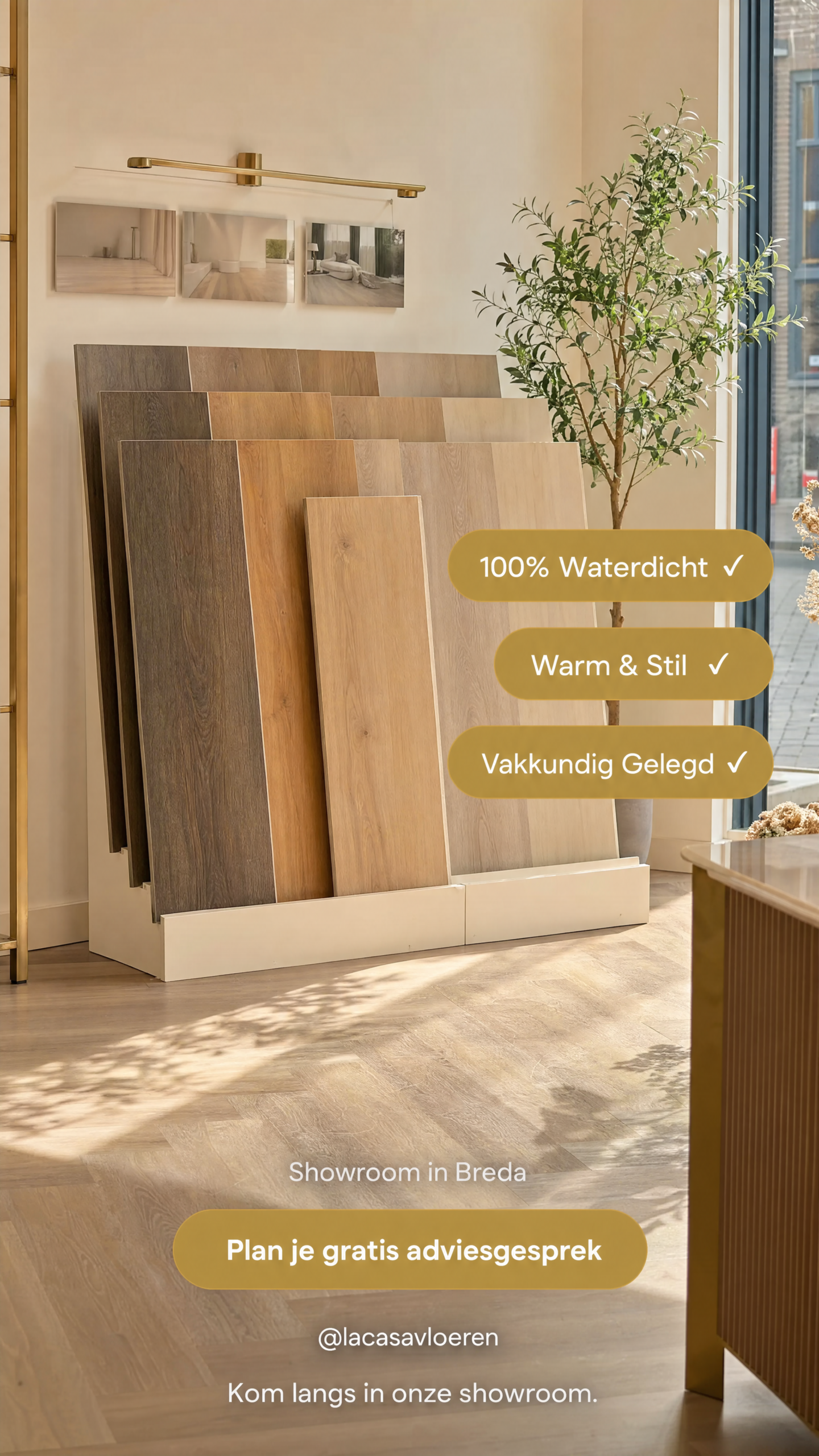 La Casa showroom Breda advertentie